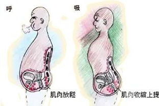 想要护住前列腺,男人就应多吃2食 做好3事,远离 难言之隐