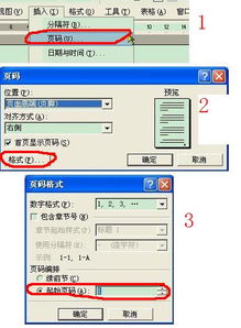 在WPS,word文档中怎样从第4页设置页码,前三页不显示页码或者用另外一种符号表示页码 