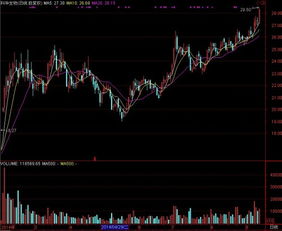 通达信如何一次性导出10只股票一个月内的成交量换手率及收盘价这3个指标,要求