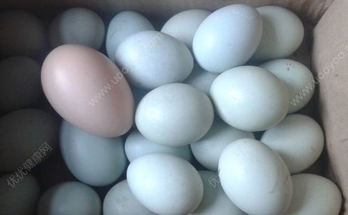 孕妇吃鸭蛋有什么好处 吃鸭蛋对孕妇有什么好处