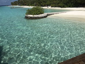 马尔代夫丽莉岛旅游让你体验海洋的魅力