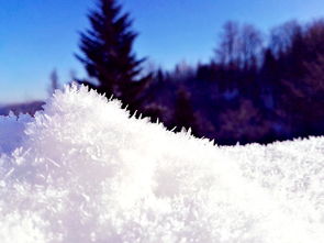 雪之韵，景之美，写与雪景有关的词语有哪些