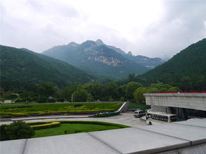 到泰山旅游开车车停在哪里(泰山天外村周边免费停车场)