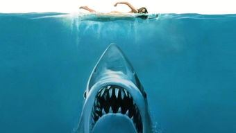 美国 男子近海垂钓 意外钓上大白鲨