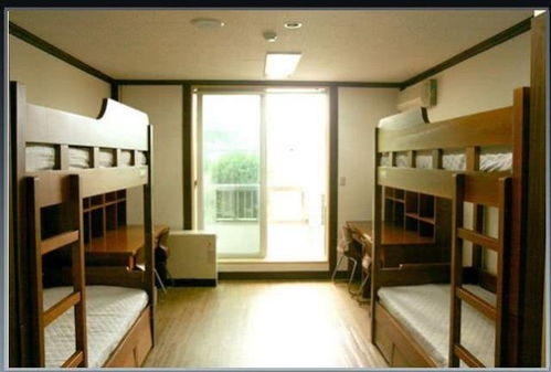 大学 上下铺型 宿舍的床位要怎么选 师姐 不要选这3个位置
