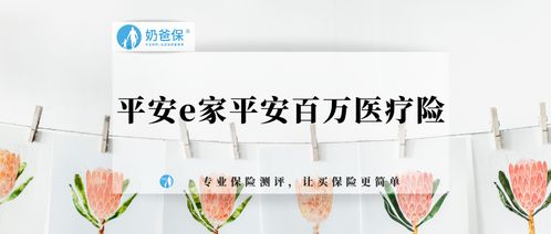 平安e家平安百万医疗险有哪些优点(平安百万医疗保险家庭版)