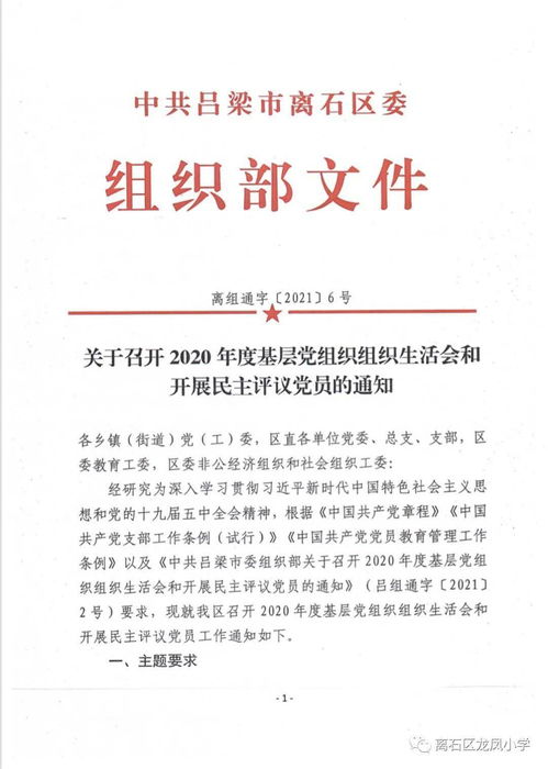 大学党支部自我鉴定范文（党员民主评议自我评价表格怎么写？）