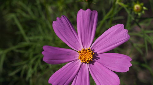 5月25日后,桃花天降,前任回归,有望唤醒旧情的3大星座