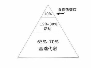 跟黄晓明一样是易胖体质,怎么破 