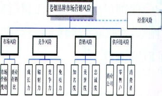 建立卷烟监测体系怎么写