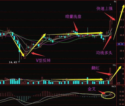 横盘，洗盘，拉伸，反弹，反转，跳空 在股票中是什么意思