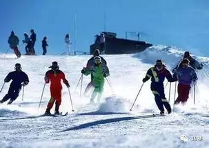 悲剧 北大女研究生滑雪时撞树身亡,三天两人殒命滑雪场 