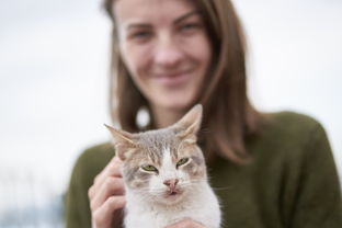 猫扑两性生活故事，一段温馨的喵星人与人类的情感纠葛