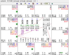 求大师指点 紫微斗数在线排盘解释 