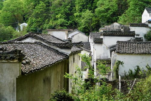 探秘安徽深山里的无人村,堪称世外桃源,一北京小哥隐居在此