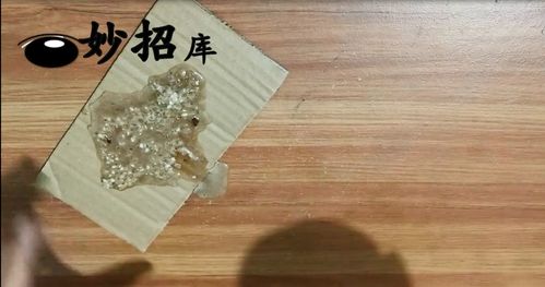 家里有蚂蚁不用开水不用药,教你一个土方法,蚂蚁不来你家