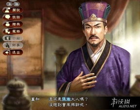 《三国志13》207种田流玩法心得分享(三国志13v7