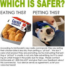 麦当劳食品安全广告被指歧视宠物犬 