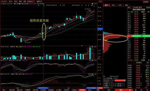 筹码单峰密集选股， 在选股器中单峰密集的参数选择多少？