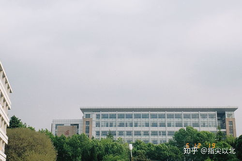 鲁东大学在二本里算好的吗