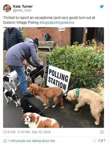英国首相带狗前往投票站,没想到,全英国的狗都来了 连 它们 也出现