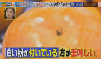 日本节目分享冷知识,柿子表面的一层白色粉末是什么