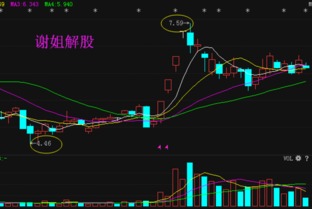 栖霞建设这只股票的未来走势怎么样？我6.10买的。现在该抛还是持有？求高手指导。