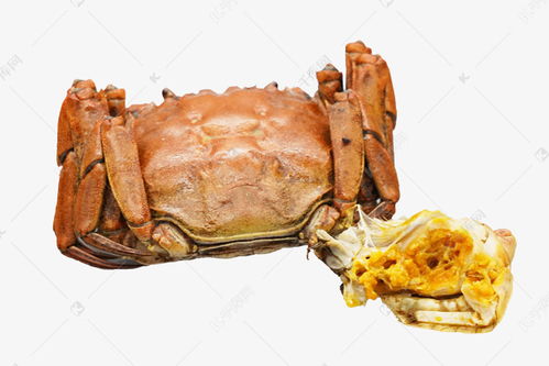 螃蟹海鲜小吃素材图片免费下载 千库网 