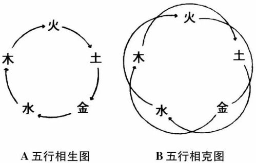 南怀瑾老师 中医讲究的是五行生克的道理