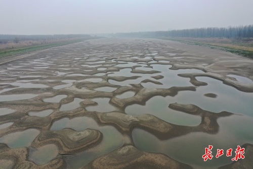 黄石有个 翡翠湖 ,一眼望去仿如仙境