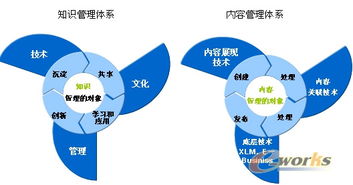 管理系知识