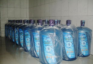 晋州市天天一泉桶装水专卖店 个体经营 