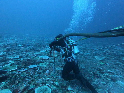 潜入深海 海军潜水员南海大深度训练