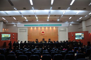 鸠江法院公开宣判一起涉恶案件,17名被告人获刑