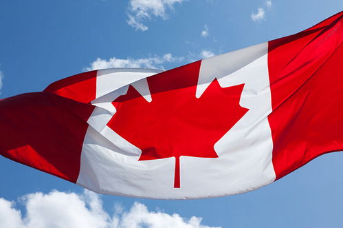 加拿大绿卡和枫叶卡有什么区别