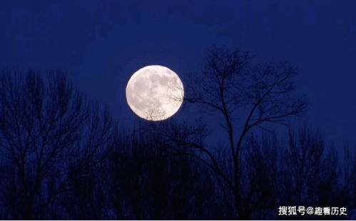 关于月亮的诗句静夜思