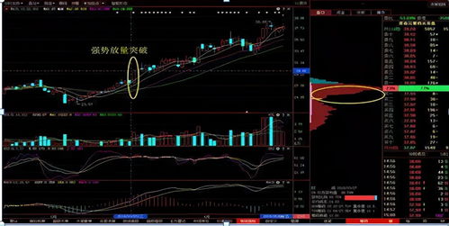 求通达信低位单峰密集选股公式