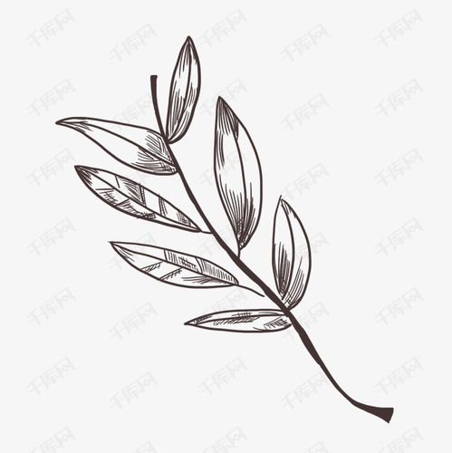 手绘植物树叶素描素材图片免费下载 千库网 