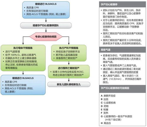 心肺复苏流程图 图片信息欣赏 图客 Tukexw Com