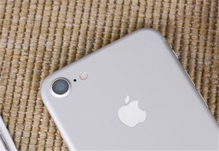 iPhone 7价格已连续跌至 良心价 ,豪华旗舰如今却成性价比手机