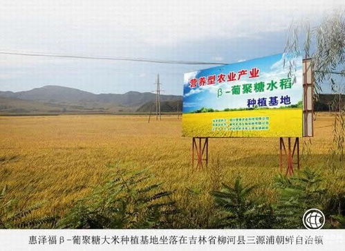 吉林柳河县 发展葡聚糖大米产业 促进农民持续增收