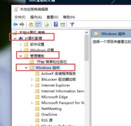 win10系统显示更新怎么取消