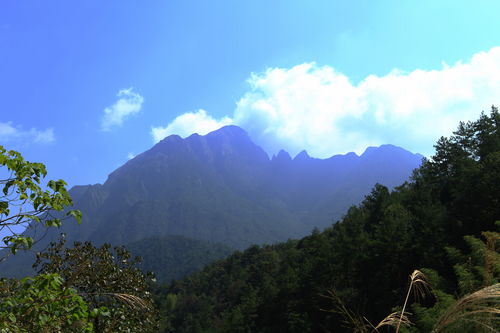 中国十大自然景观排名 (中国十大自然景观排名图)