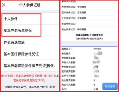 社会保险参保人数有何变化？为什么