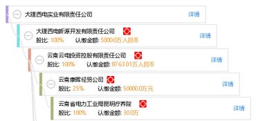 大理西电实业有限责任公司怎么样？