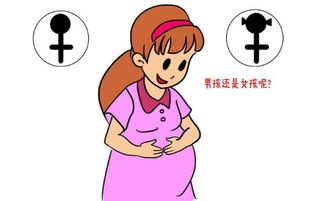 2017最全的胎儿性别预测法 生男生女的秘方公开 第2页 怀孕保健 生男生女帮 
