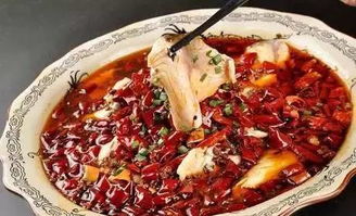 麻辣水煮鱼 天津哪儿能吃的地道的麻辣水煮鱼？ 