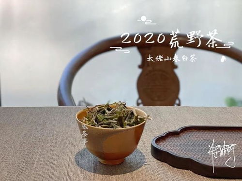 2020荒野茶,揭秘分不出等级的荒野白茶,因何诞生