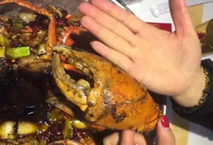 介绍一家徐州吃蟹圣地,螃蟹肉多黄满很过瘾