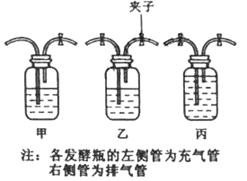 无氧呼吸产物(动物无氧呼吸产物)